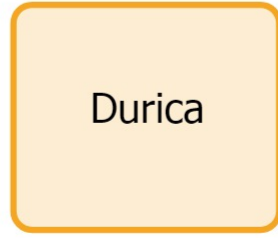 Durica