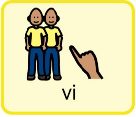 vi